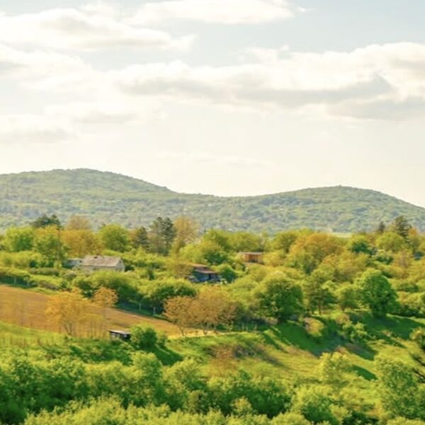 Tájképek / Természet / Állatok